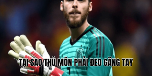 Vì Sao Cầu Thủ Bóng Đá Lại Say Mê Những Chiếc Xe Audi?